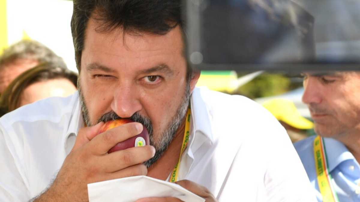 Immagine di Al banco alimentare di Salvini