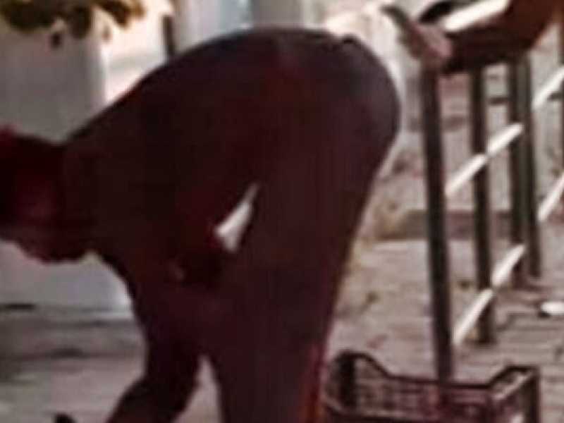 Non riesco a essere razzista con l'Aristotele nero che arrostisce il gatto