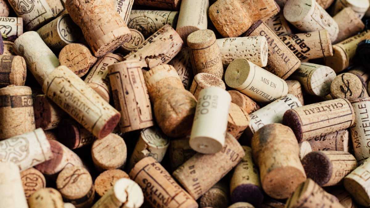 Immagine di Capisco il valore del vino (e del produttore) osservando un sughero