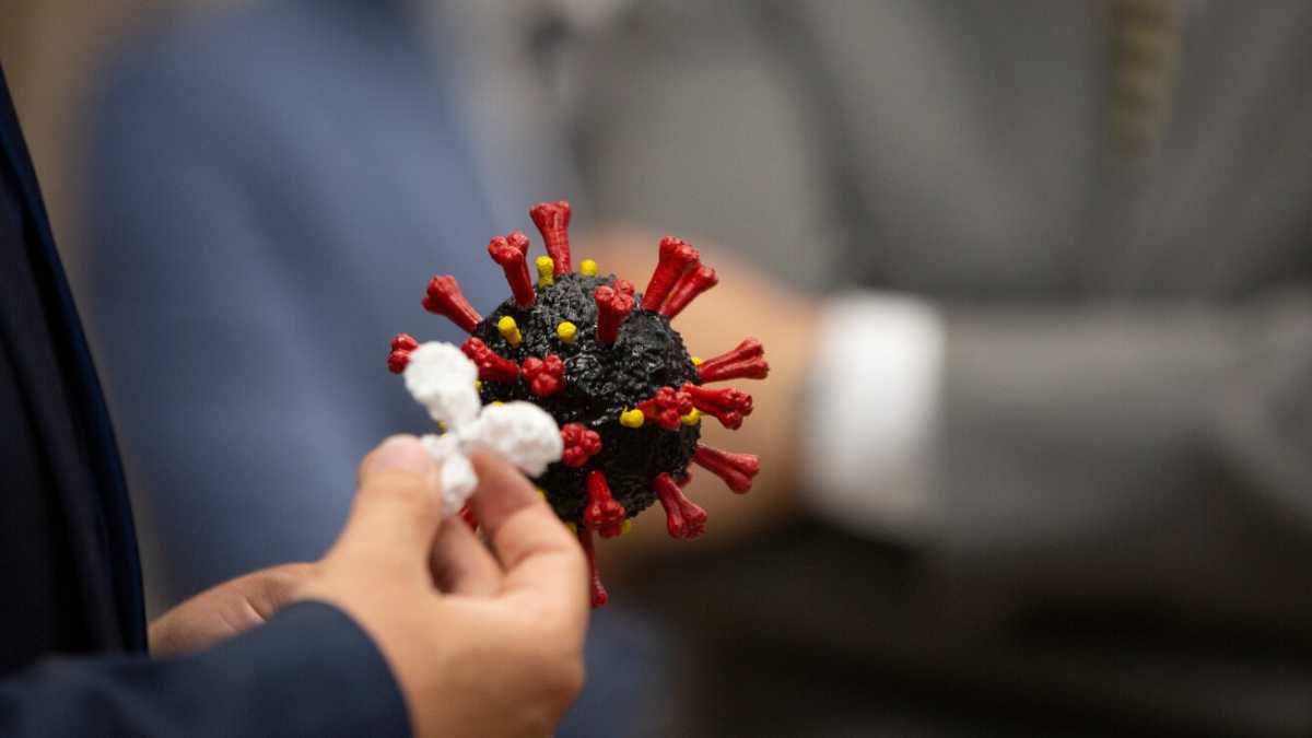 Immagine di Le nostre armi contro il Covid e la guerra (fake) tra esperti. Parla Remuzzi