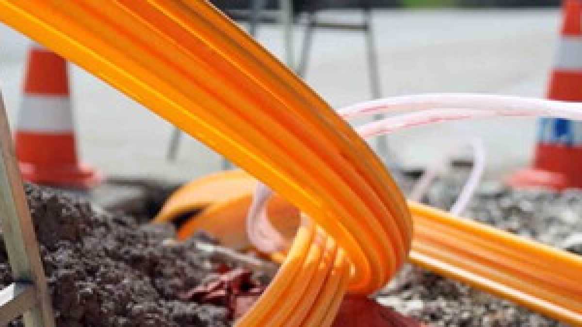 Immagine di I paradossi della rete unica
