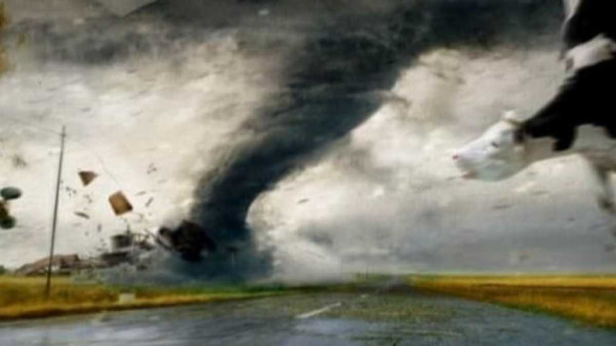 Immagine di Utili letture per amici catastrofisti