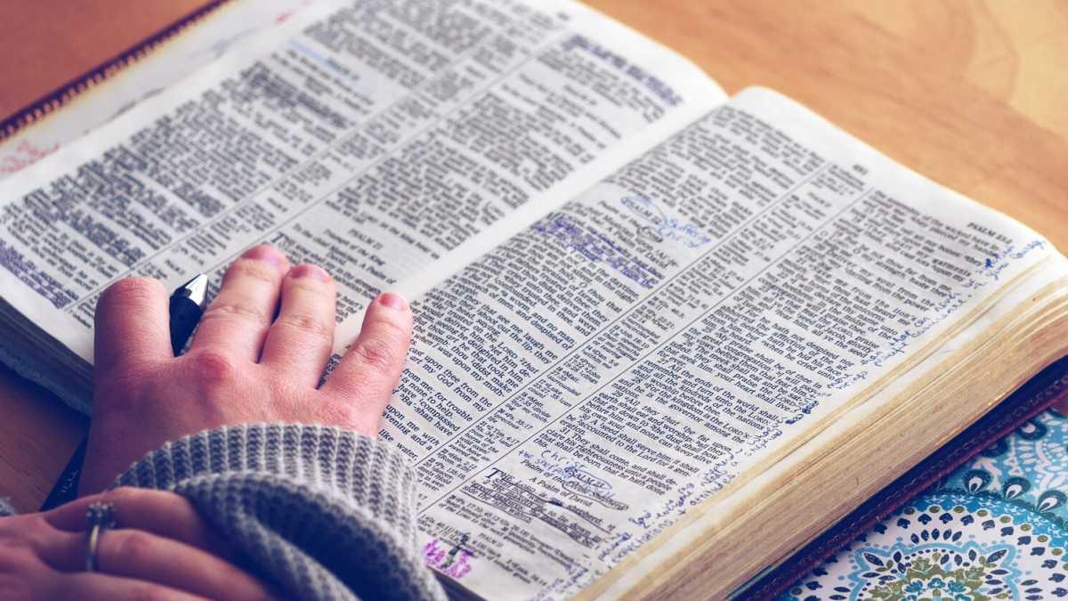 Immagine di Chi dice "wow" è disumano