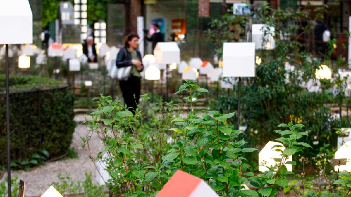 Immagine di Un’estate tutta botanica. La cultura ha i suoi luoghi freschi, all’aperto e belli