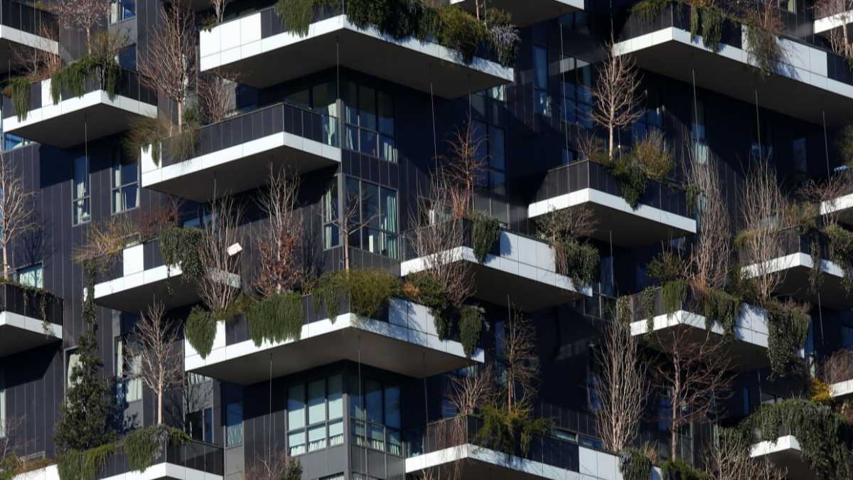 Immagine di Prego perché non ci sia nessun Bosco Verticale a Urbino