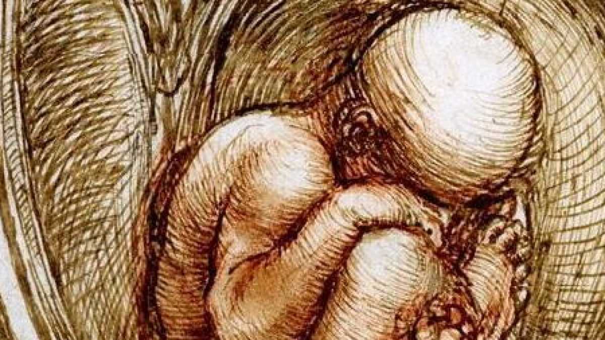 Immagine di È nato l’uomo nuovo