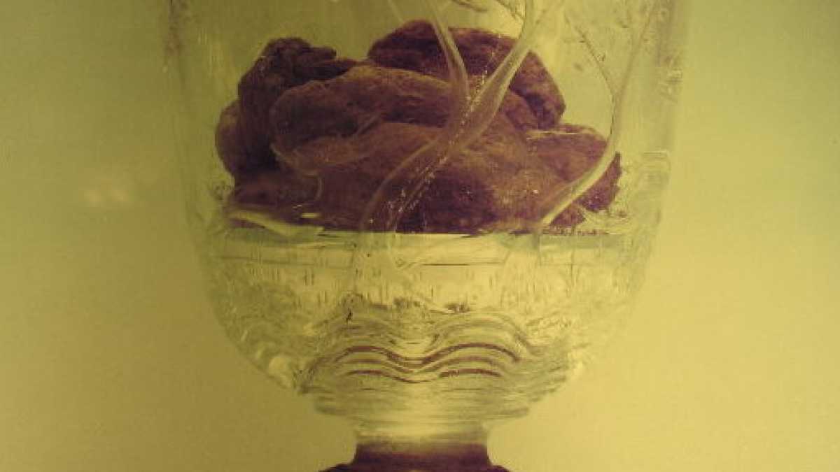 Immagine di Le osservazioni di Flavio Cuniberto hanno valore statistico