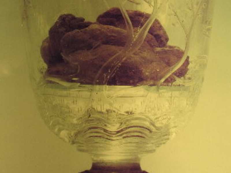 Miracolo eucaristico di Lanciano