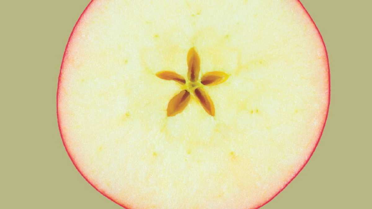 Immagine di Il nuovo libro di Franco Arminio a tratti è amaro come una medicina