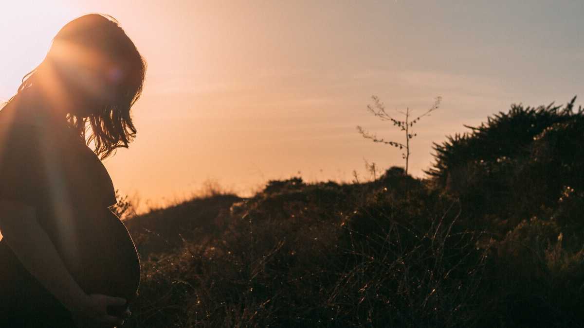 Immagine di La disintegrazione della maternità