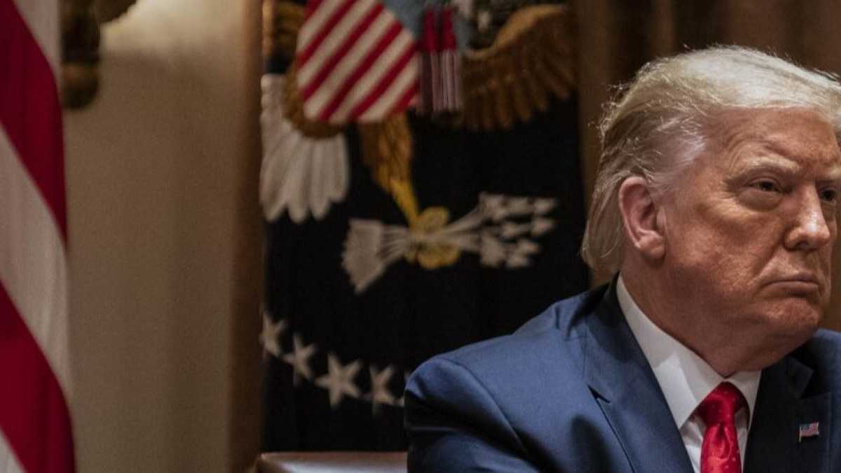 Immagine di I medici negazionisti che piacciono a Trump