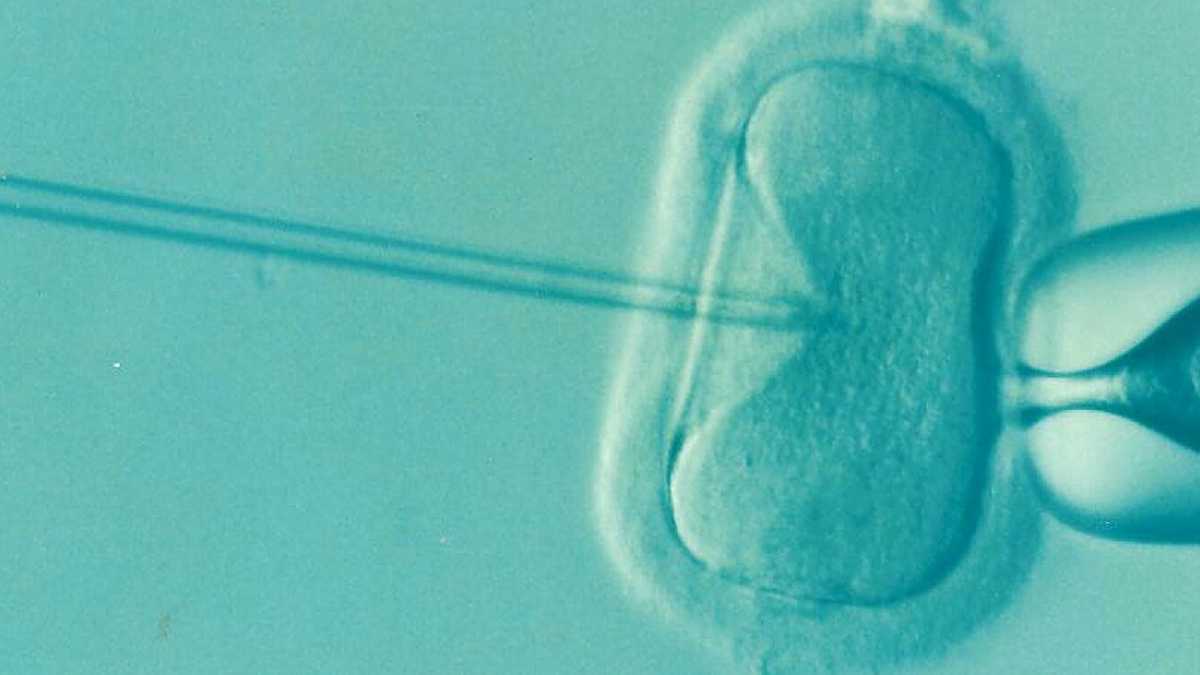 Immagine di “È la morte dell’umanesimo, dell’illuminismo kantiano e dell’antropologia cristiana”