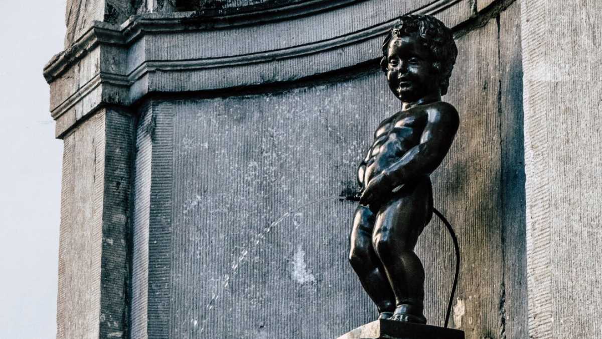 Immagine di Sfiorivano le viole