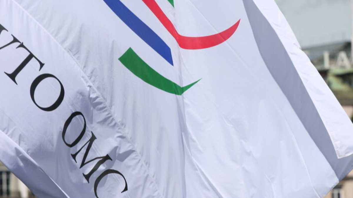Immagine di Dal commercio alla salute, se muore il multilateralismo è un bel caos