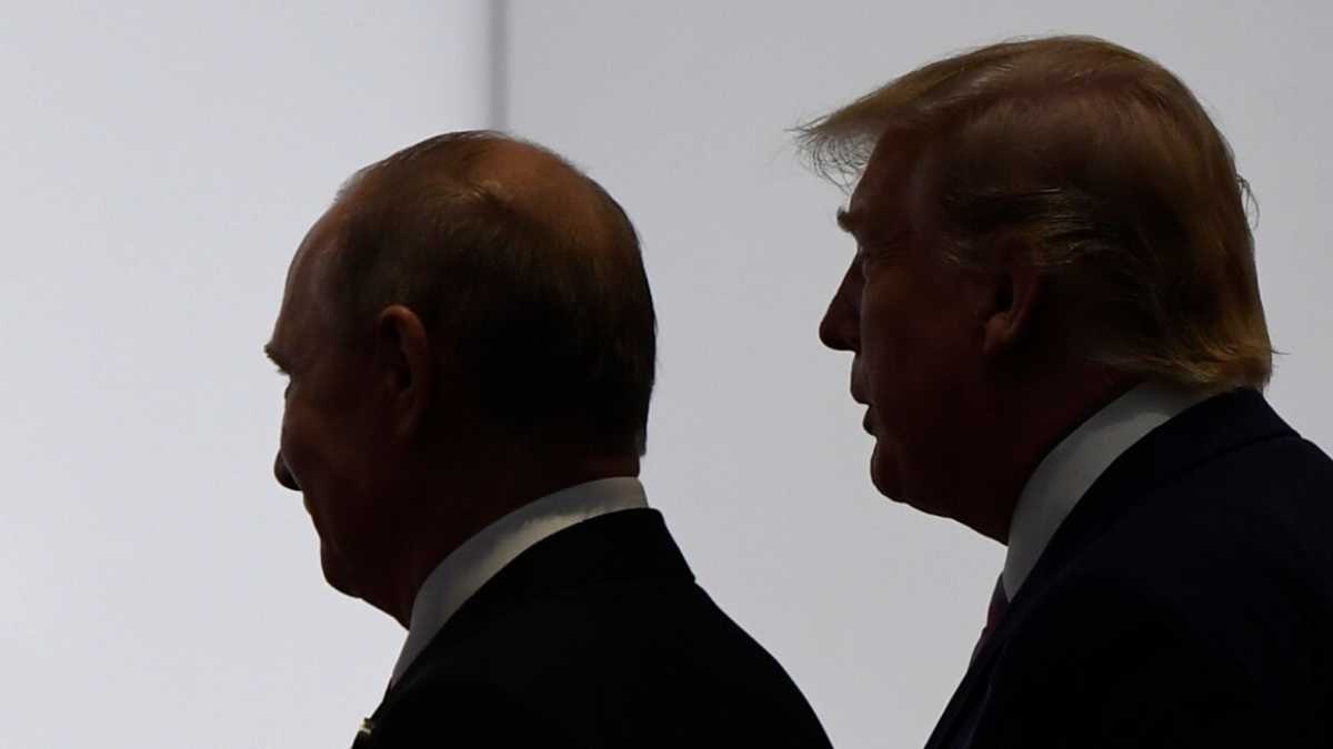 Immagine di Surviving Autocracy