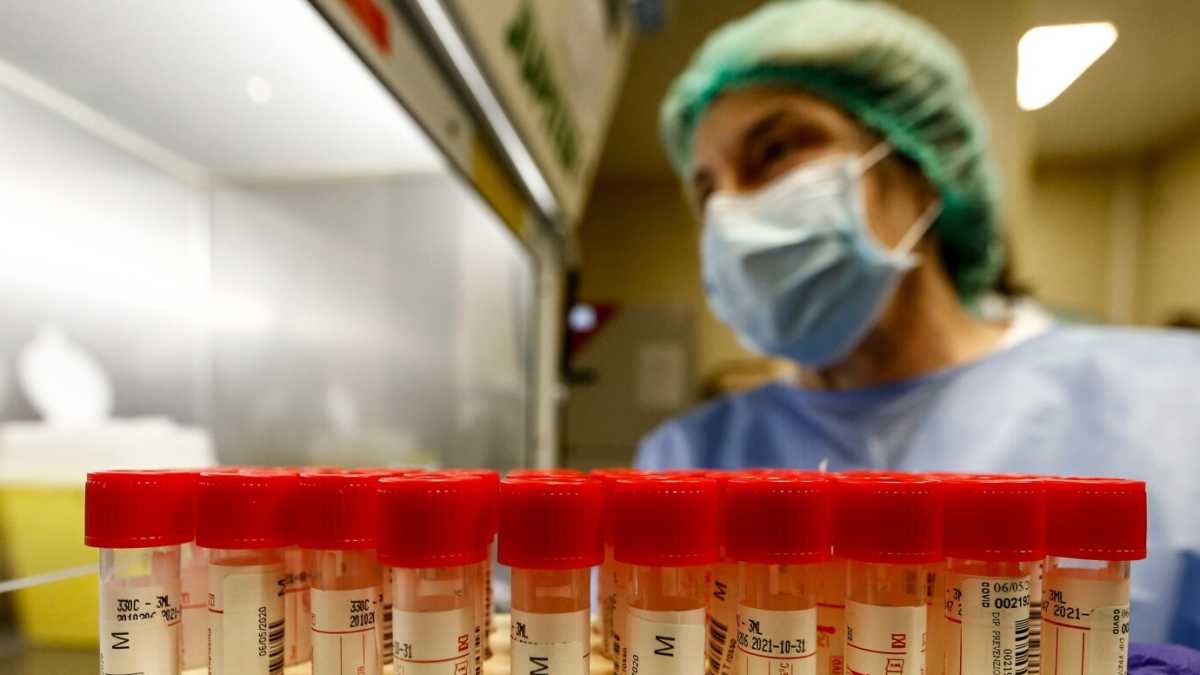 Immagine di Quelli che "il virus è clinicamente sparito"