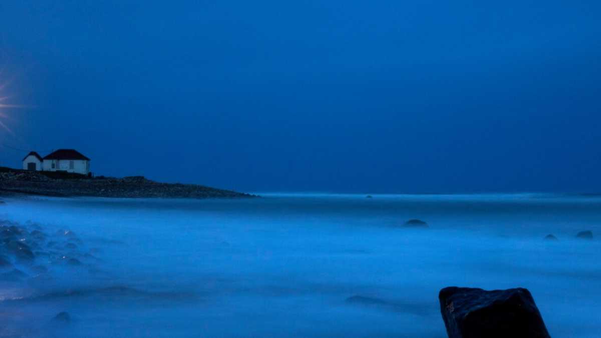 Immagine di Come conciliare ripresa economica, salute e sostenibilità dopo il Covid