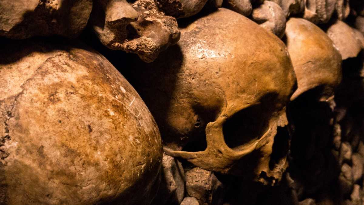 Immagine di Bernard-Henri Lévy contro gli antiumanisti che vedono nel virus un messia