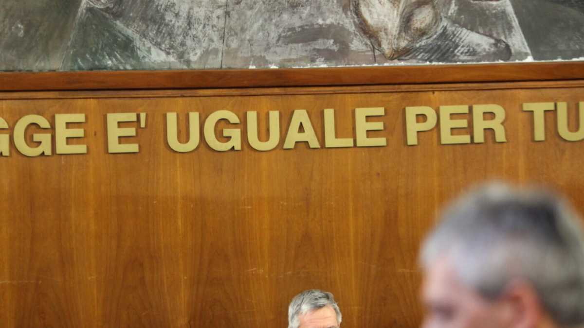 Immagine di Il diritto penale totale