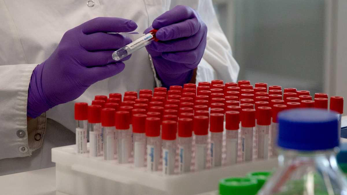 Immagine di La revisione scientifica