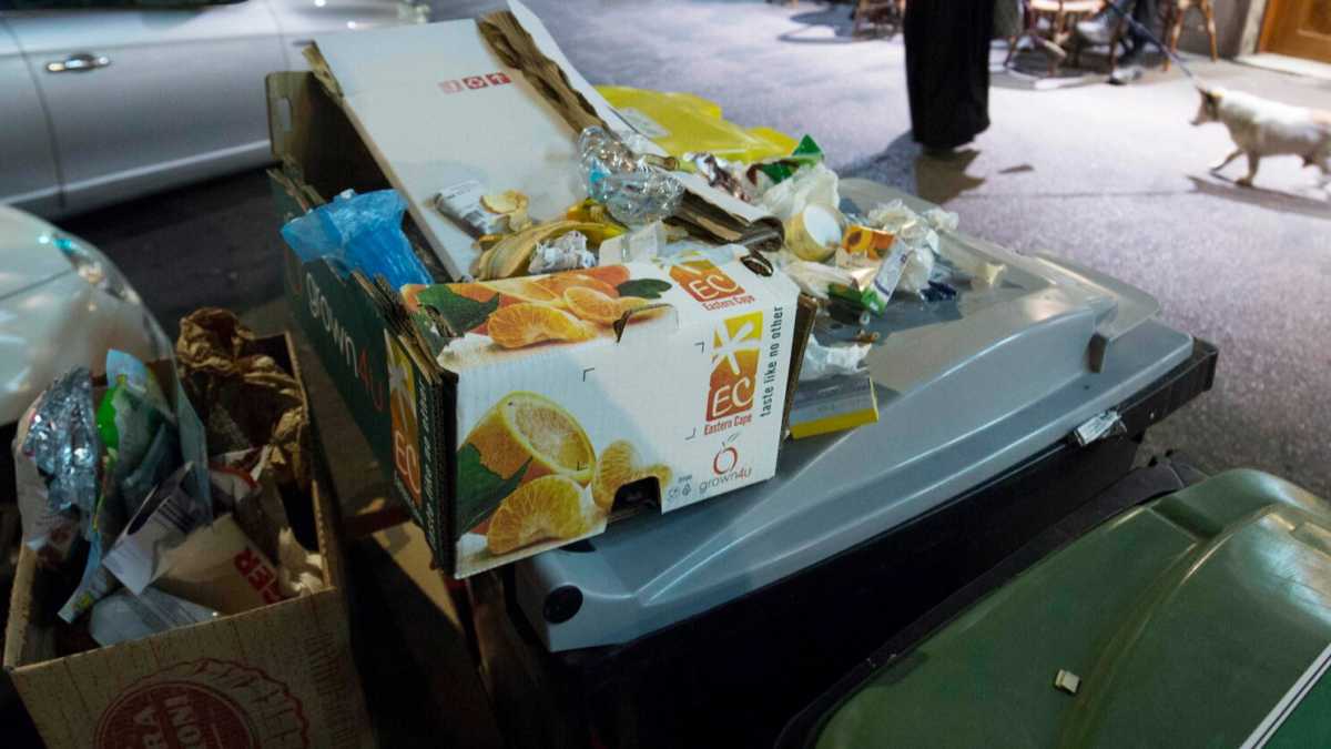 Immagine di I rifiuti della pandemia