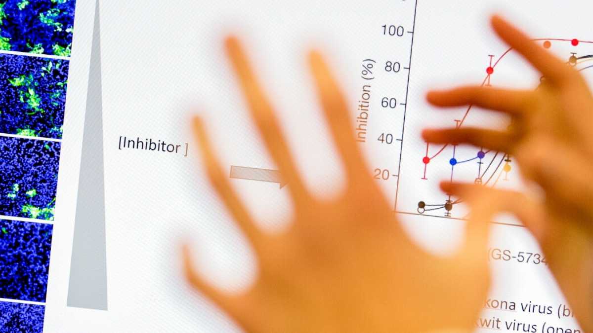 Immagine di Covid e fake data