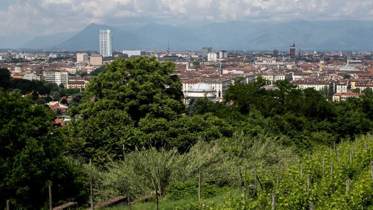 Immagine di Progetto Italia, è ora di osare