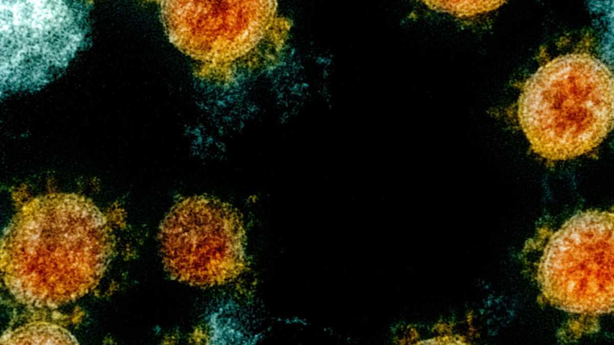 Immagine di Spaventati e offesi