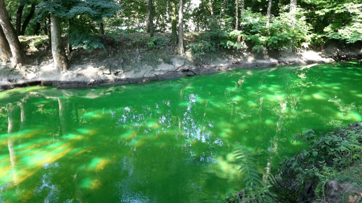 Immagine di In Sardegna per il Lambro
