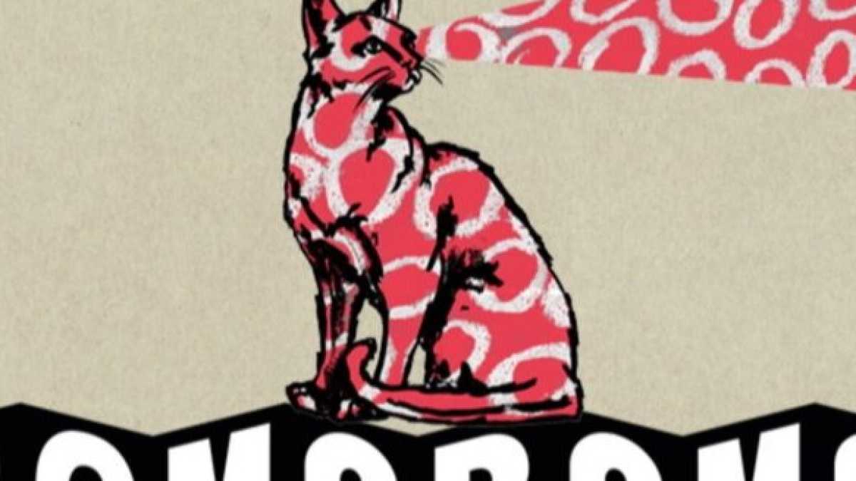 Immagine di Operazione gatto