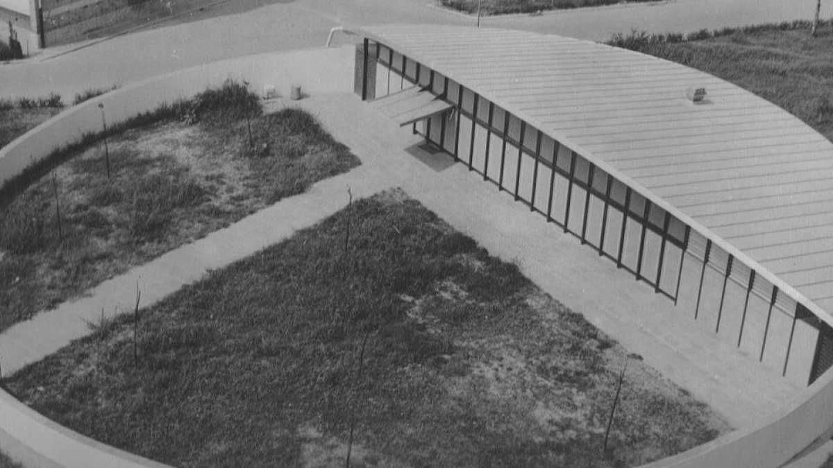 Immagine di Razionalista senza fronzoli