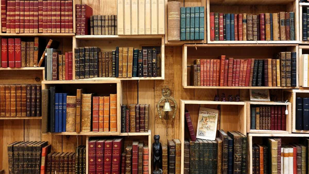 Immagine di Buoni criteri per vincere la sfida di tenere in ordine la propria biblioteca