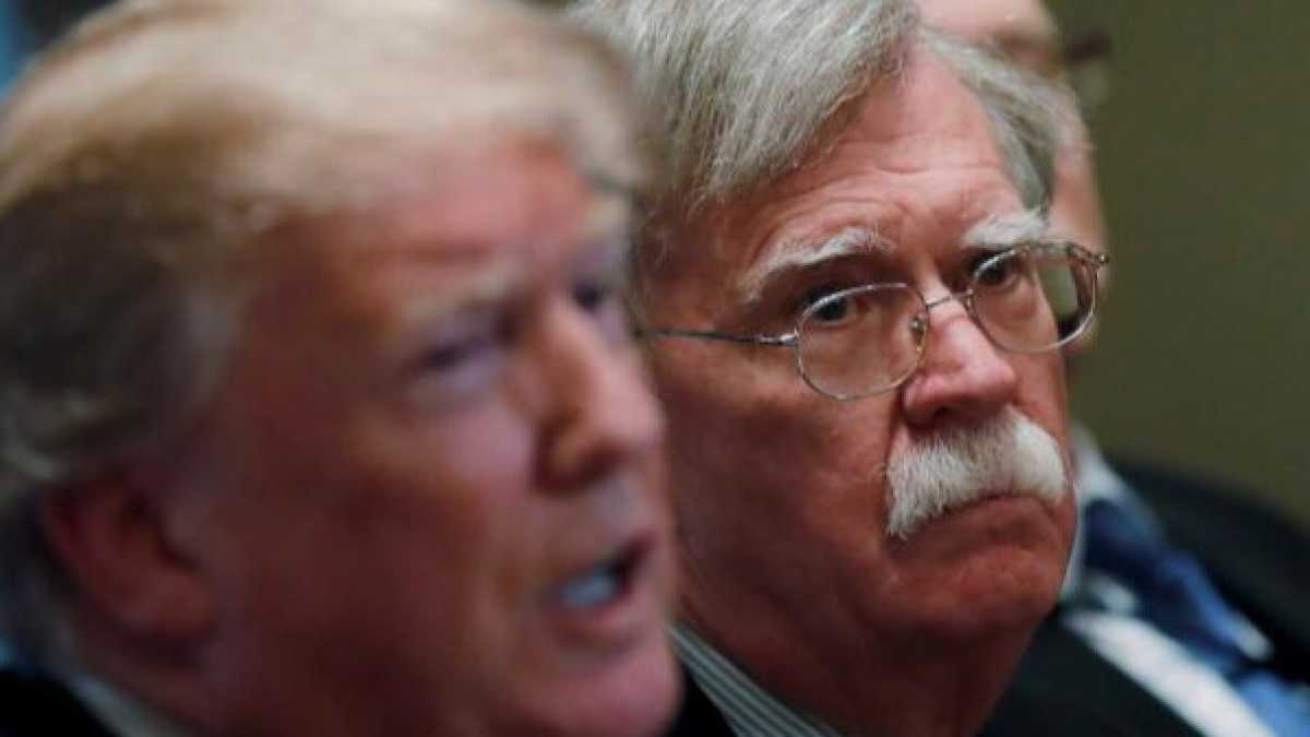 Immagine di Leggere le viscere di Bolton