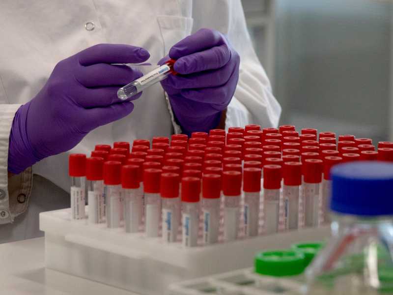La revisione scientifica