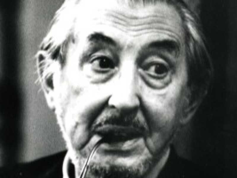 Chi era Carlo Scarpa?