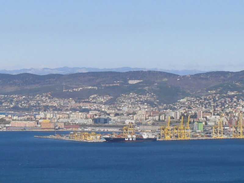 Foto tratta da Wikipedia