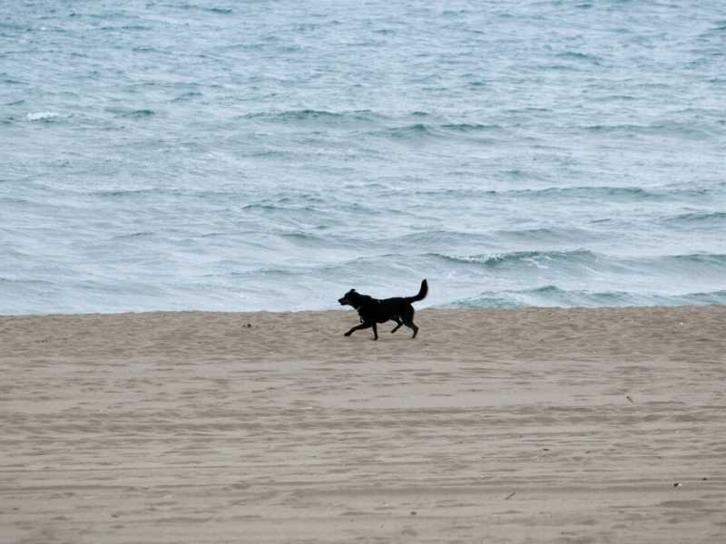 (foto LaPresse)