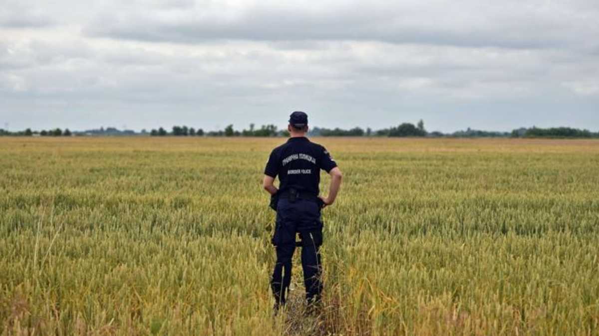 Immagine di Non solo in Ungheria: dove sono e a cosa servono tutti i muri nel mondo