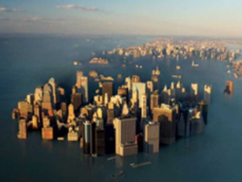 Alcune buone ragioni (e scientifiche) per non urlare più all’ecoapocalisse