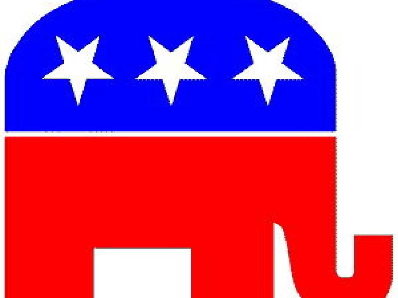 Barrisce l’elefante dell’elefante