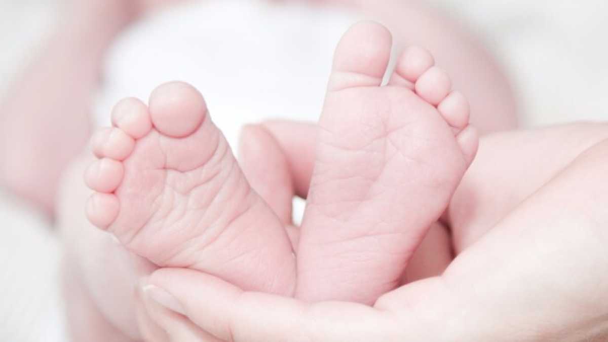 Immagine di Sette giudici in Germania hanno deciso che dirsi maschio o femmina è limitante