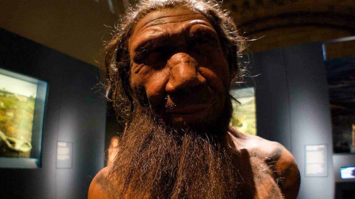 Immagine di Il Dna degli antenati che ci rende più sensibili al Covid