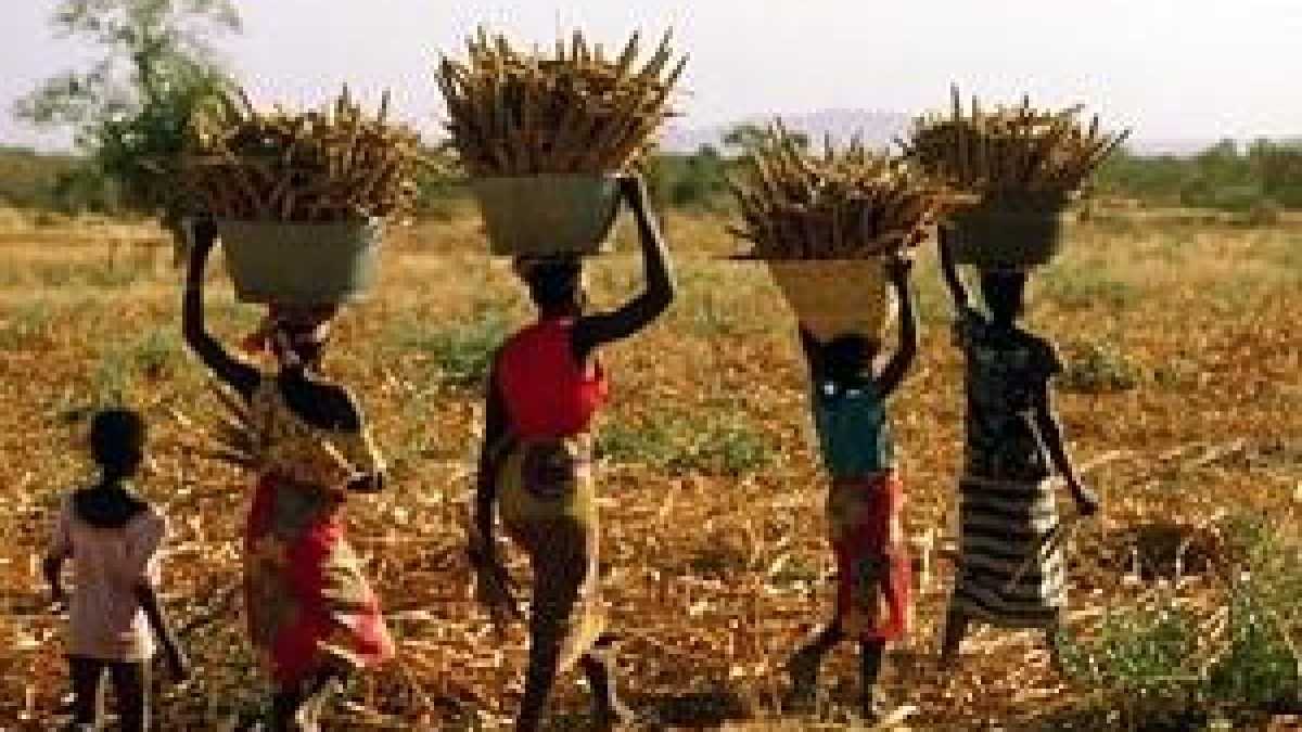 Immagine di Perché l'aperitivo è più efficace di un vertice Fao nella lotta agli sprechi alimentari