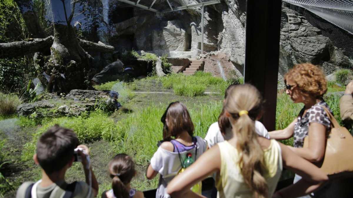 Immagine di Lo zoo di Puskin