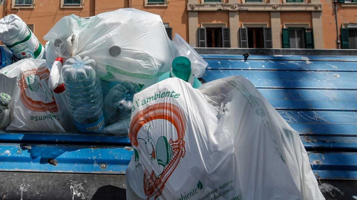 Immagine di Il molestatore ecologista