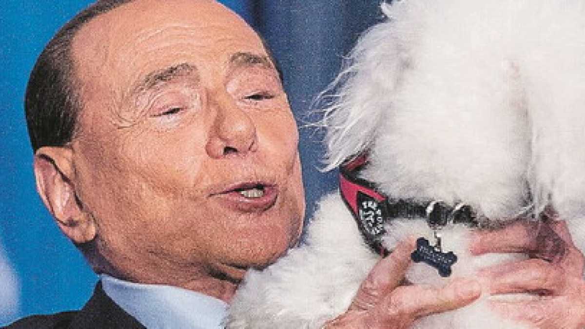 Immagine di Nuovo cinema Cav.
