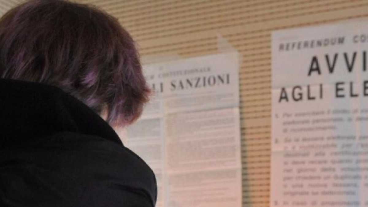 Immagine di Solo una balla ci salverà dai truffatori della democrazia