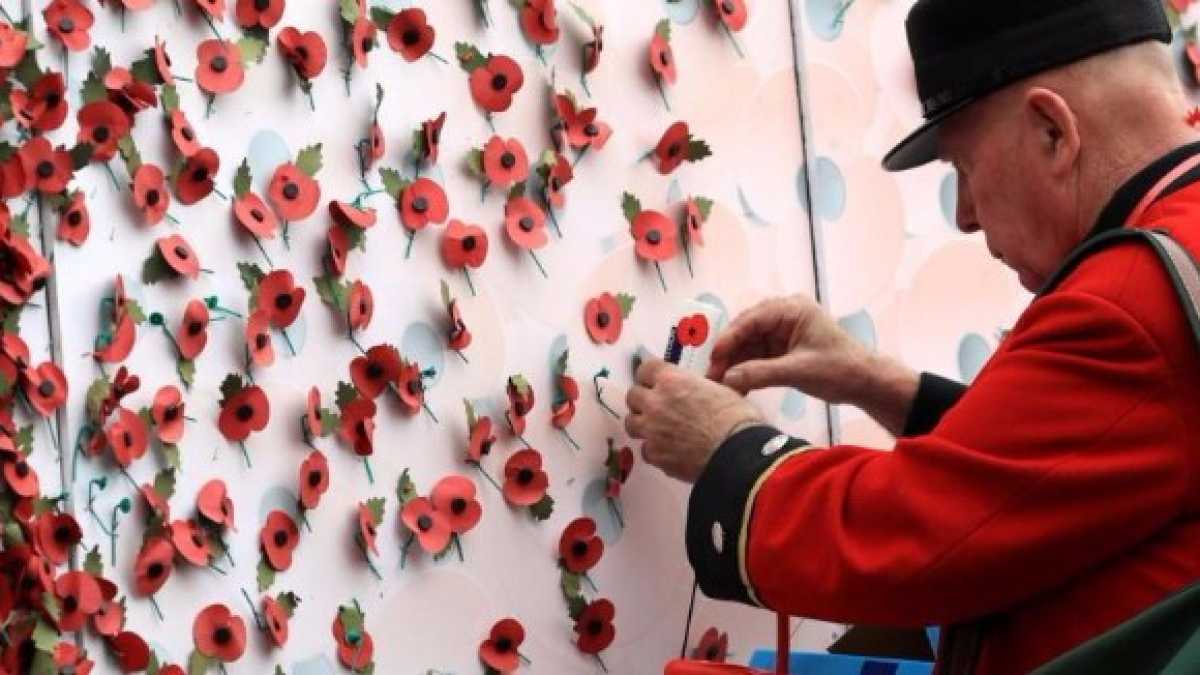 Immagine di C'è un problema di “Remembrance poppies” nel Regno Unito