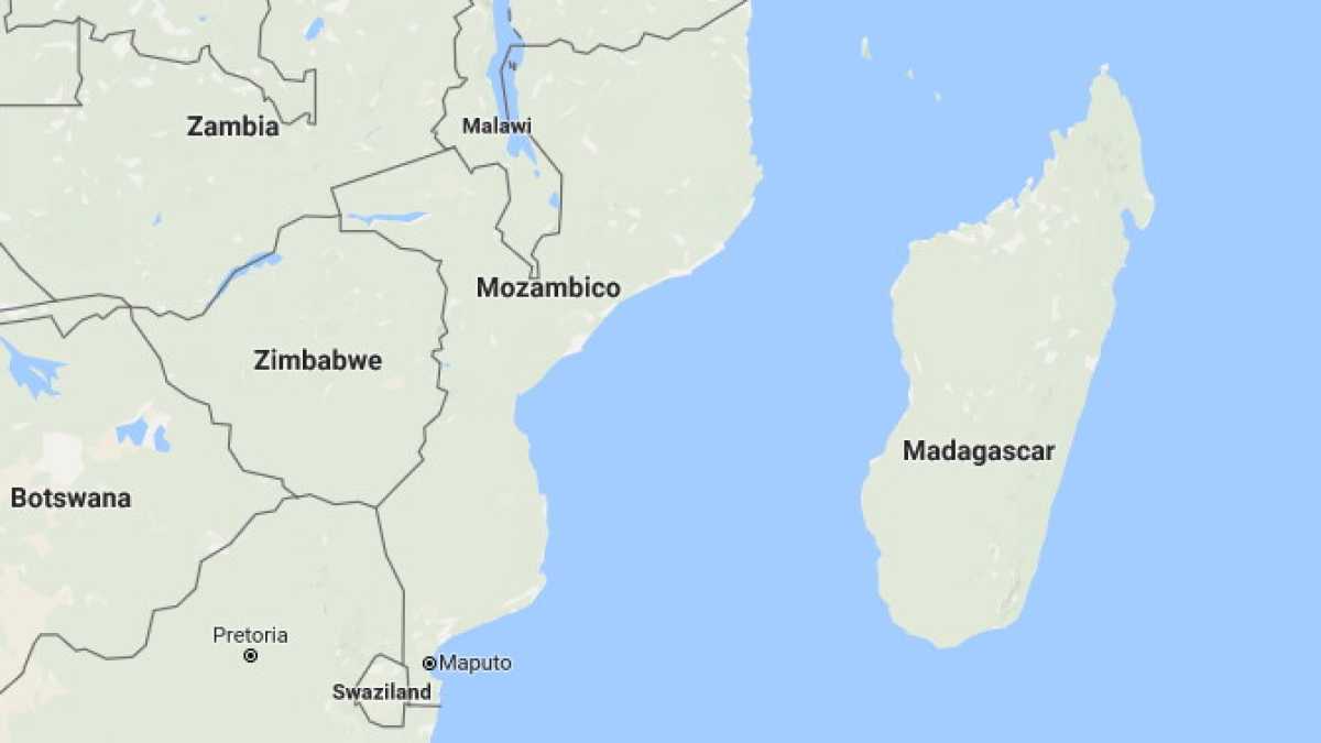 Immagine di Il Madagascar e il tema di prima media
