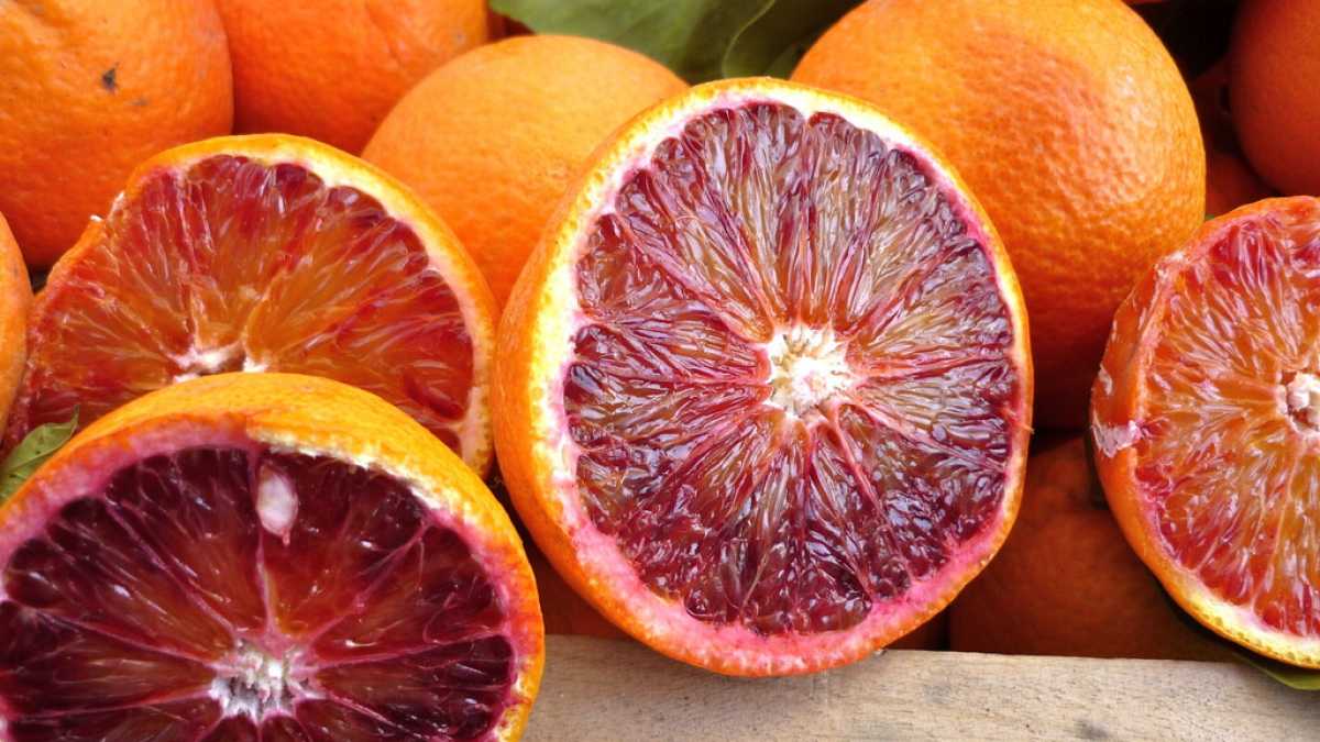 Immagine di Arance rosse di Francoforte. In Sicilia